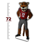 Butch Cutout 72 inch